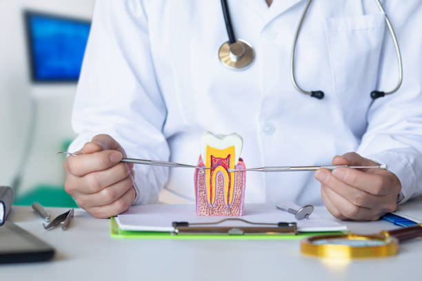 Best Emergency Orthodontic Repairs in Oriska, NY
